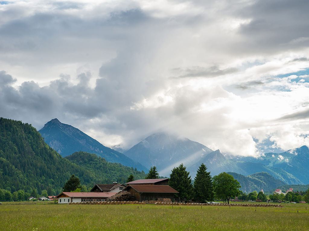Milchpreis-Oesterreich-Februar-2020